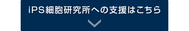 iPS細胞研究所への支援はこちら