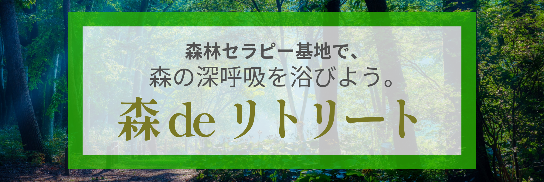 赤城自然園の森林は、癒し効果が科学的に実証された 「森林セラピー基地」に認定されています。