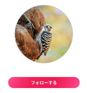 赤城自然園アカウントをフォローする