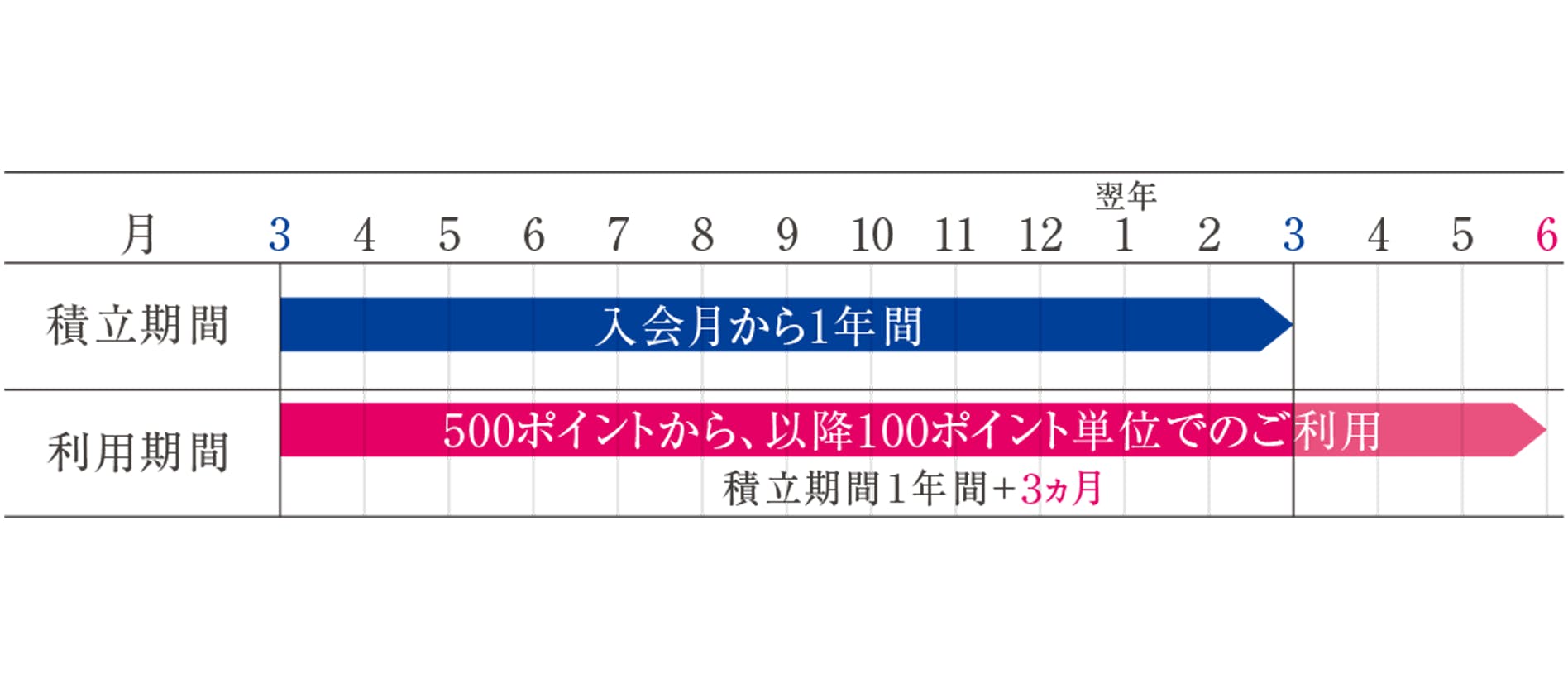 ポイント積立期間は、入会月から1年間（3月から翌年2月まで）　ポイント交換期間は積立期間終了後3ヶ月間、1,000ポイントごとにいつでも交換（5月から翌年5月まで）